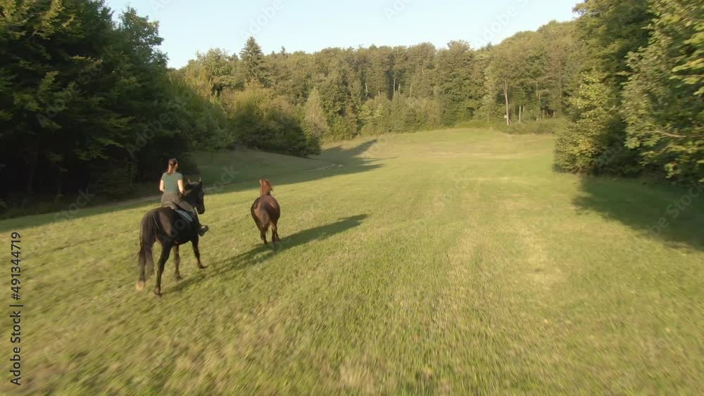 AERIAL, COPY SPACE: Female horseback rider gallops down a glade at golden summer sunset. Drone point of view of a Caucasian woman leading her energetic horses out into the open on a sunny evening. AERIAL, COPY SPACE: Female horseback rider gallops down a glade at golden summer sunset. Drone point of view of a Caucasian woman leading her energetic horses out into the open on a sunny evening.