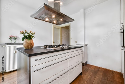 Vászonkép Small kitchen with island and hood over the island
