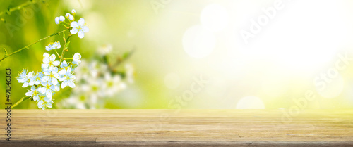 Beautiful branch of blossoming tree in spring with butterfly.