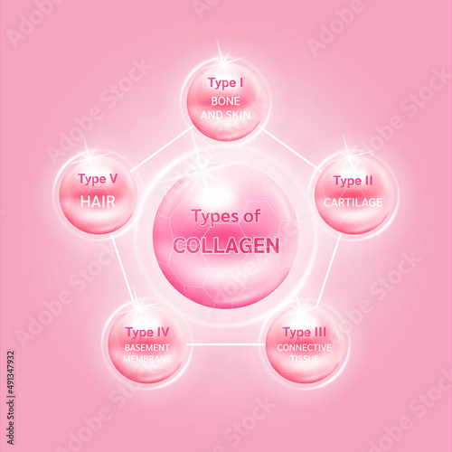 Type of collagen. The five most common types of collagen protein. Main protein created connective tissues, cartilages, bones, nails, skin and hair. Medical and science concept. Vector EPS10.