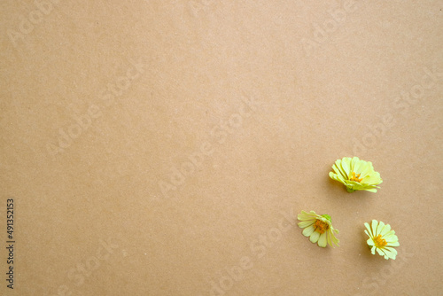 Beautiful flower flat lay arrangement on brown background. Flat lay bouquet, top view, overhead, empty space for copied text.