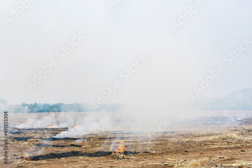 Burning straw in rice plantation in thailand.