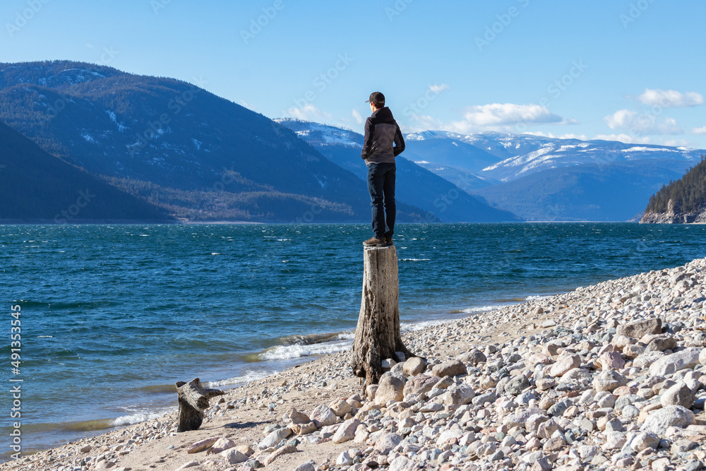 A boy standing a top a stump looking out over a lake