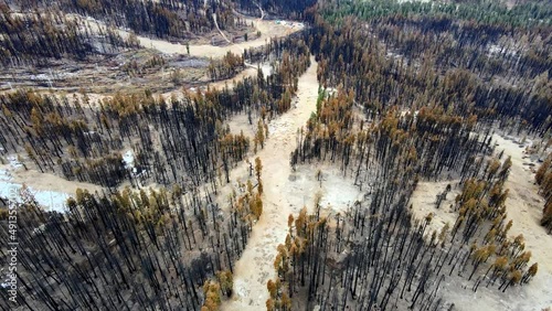 Aerial view of Sierra at Tahoe after Caldor Wildfire. Severe destruction of the forest, fly forward shot, descending down photo