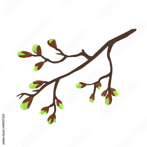 vector illustration spring branch with swollen buds and young leaves 