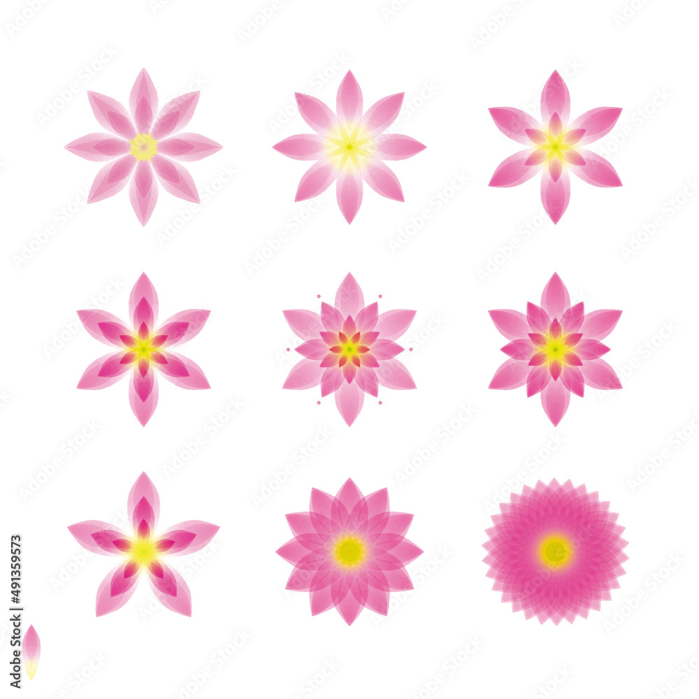ピンクの花々　水彩風イラスト	