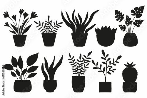  A set of silhouettes of indoor plants. Vector set.