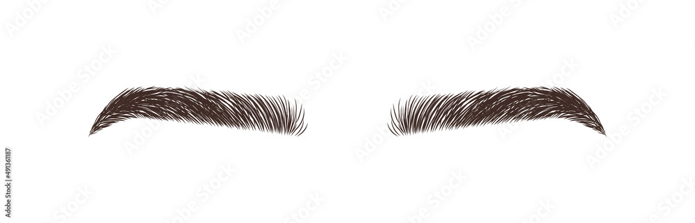 Female eyebrows on white background. Permanent make-up and microblading.  Brow bar logo. Linear vector Illustration in trendy minimalist style. Stock  Vector | Adobe Stock