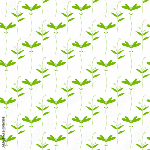Vector seamless pattern with greenery. Pattern with beet sprouts.