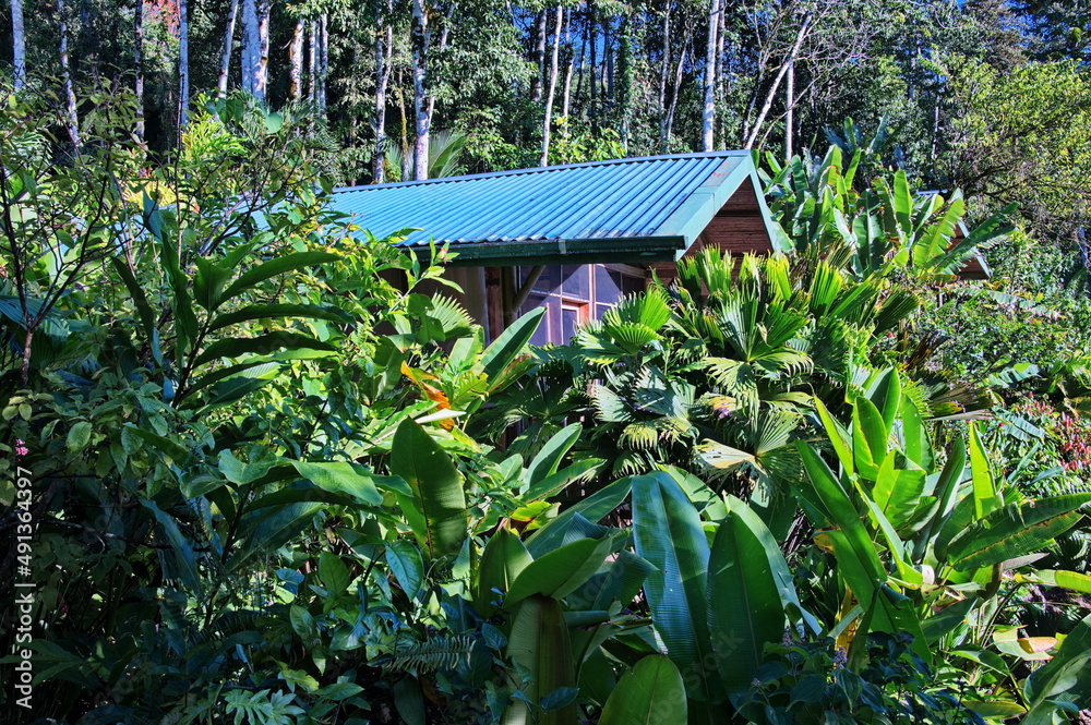 Obraz premium Roof of the bungalow in tropical rainforest in Costa Rica
