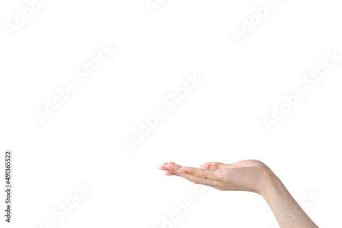 Фотография Presenting hand