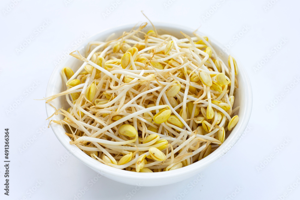 Fresh soybean sprouts for cooking.