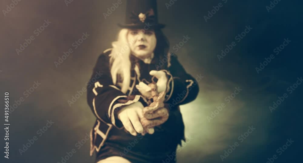 snake magician. meme, animator, boa constrictor, snake magician. meme, animator, boa constrictor,