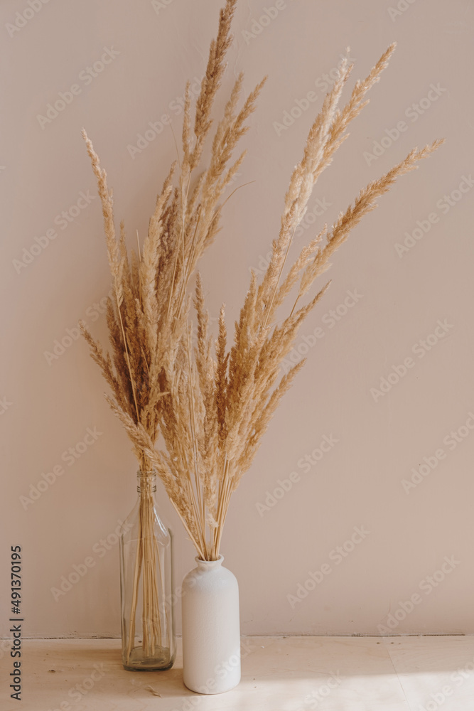 Aesthetic bohemian home interior design decoration. Tan pampas grass in vase against neutral beige wall. Sunlight shadows