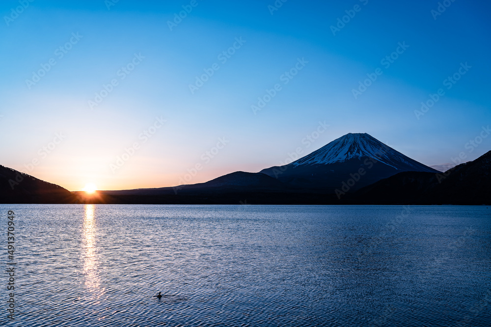 本栖湖と富士山と日の出と本栖湖を泳ぐ鳥