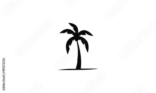 palm tree silhouette