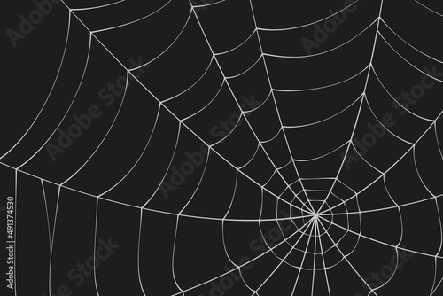 Scary spider web. White cobweb silhouette isolated on black background. Doodle spideweb banner. Hand drawn cob web for Halloween party. Vector illustration.