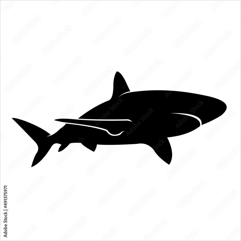 Naklejka premium Vector silhouette of a shark on a white background