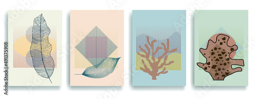 Modern wallpaper with minimalist design elements . Botanical art. Backgrounds in Boho style  . Wall art , home deco . Contemporary posters with leaves and geometric shapes .Vector abstract wallpaper. © miloje