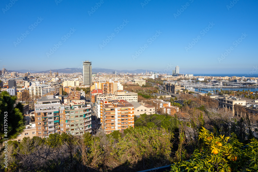 View of Barcelona with the Columbus Statue from Montjuic mountain