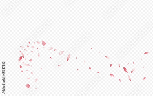 Bright Rosa Vector Transparent Background. Flower