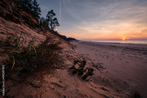 grass in the beach at sunset