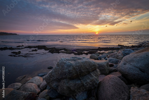 rocks in the sea at sunset