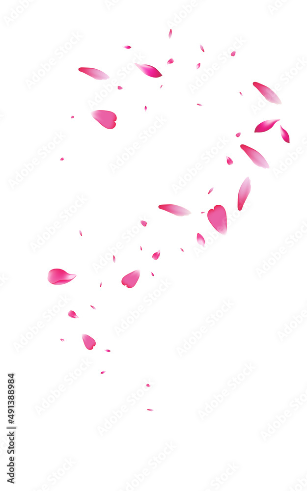 Pink Rose Blur Vector White Background. Beauty