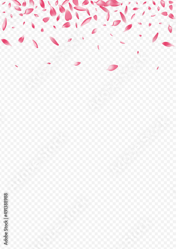 Pink Apple Vector Transparent Background. Heart