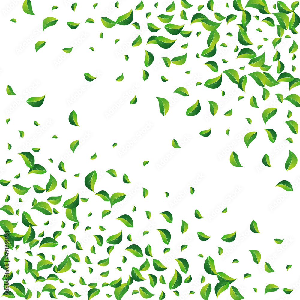 Mint Leaves Abstract Vector White Background.