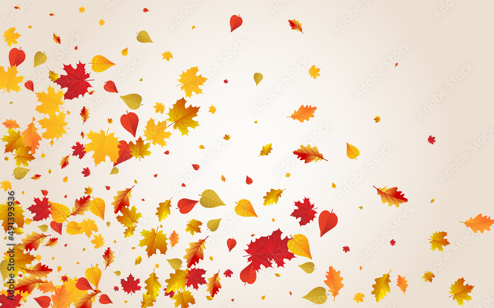 Autumnal Leaf Vector Transparent Background.