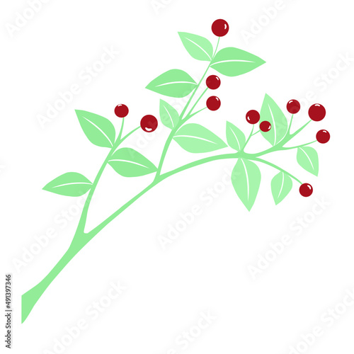 vector of cherry plant design for card