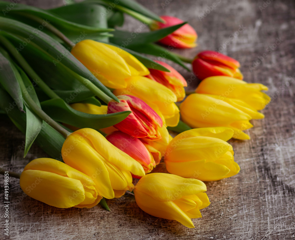 yellow and orange tulips on a light background yellow and orange tulips on a light background
