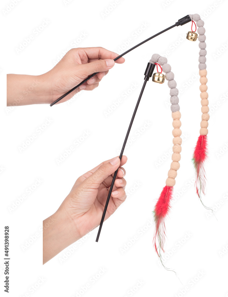 Fototapeta premium Set of Hand holding feather toy for cat isolated on a white background