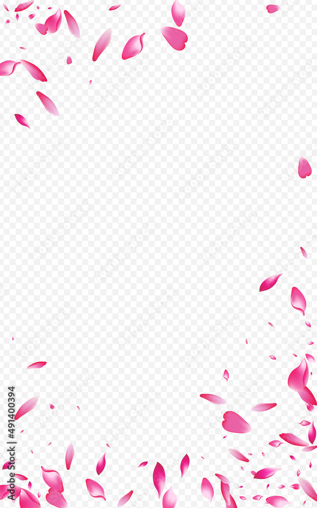 Red Sakura Spring Vector Transparent Background. Red Sakura Spring Vector Transparent Background.