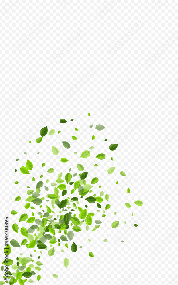 Green Foliage Flying Vector Transparent Green Foliage Flying Vector Transparent