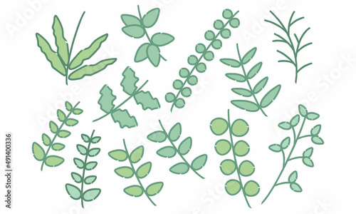 植物　葉　デザイン　素材　セット