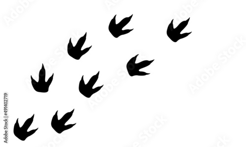 Dinosaur footprints. Dino trail black silhouette isolated on white background. Vector