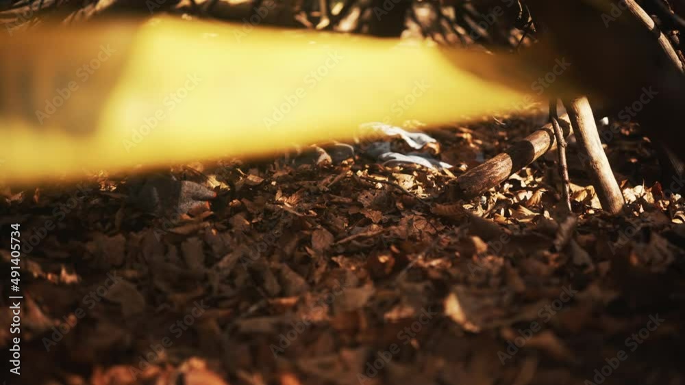 Crime scene in the woods. Taped and cornered off area with Crime Scene Tape all around the crime site. Killer on the lose