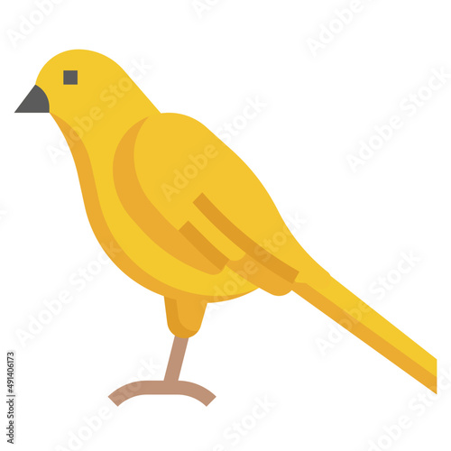 CANARY flat icon