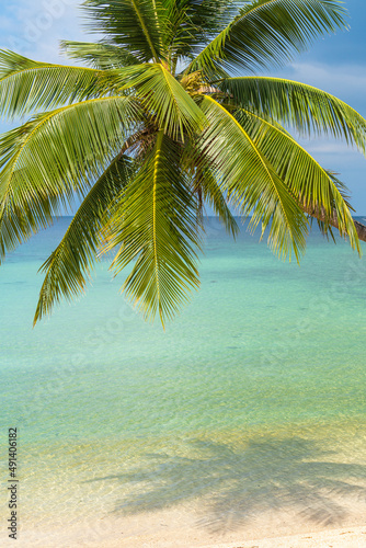 Beautiful tropical beach with coconut palm tree on white sand with ocean view   Thailand