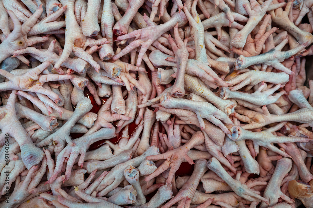 Close up fresh chicken feet in the market Close up fresh chicken feet in the market