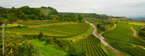 Weinberg Rebhäuschen