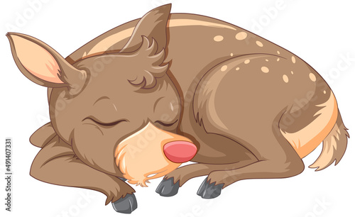 A cute deer on white background