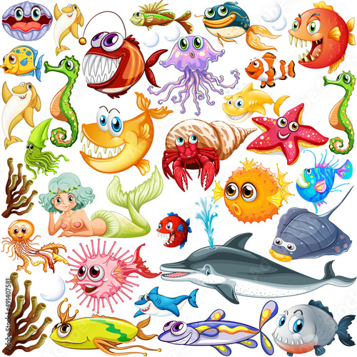Different types of sea animals