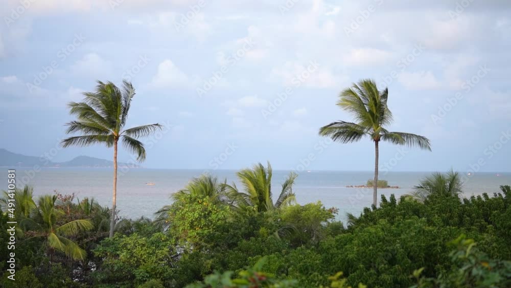 Tropical Island View From The Rooftop Main Pool Of W Koh Samui Luxury Resort In Thailand. Wide Shot Tropical Island View From The Rooftop Main Pool Of W Koh Samui Luxury Resort In Thailand. Wide Shot