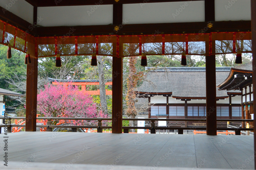 京都市の世界遺産下鴨神社で舞殿越しに光琳の梅を望む