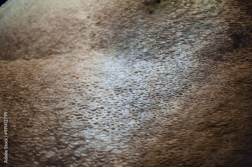 texture of the stone surface from the drops of water