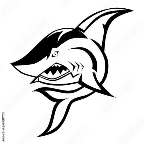 illustration of a shark