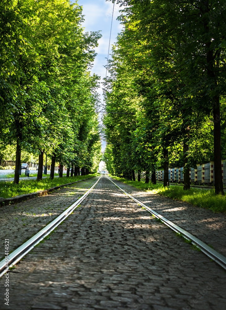 straight direction of tram railways in Hradchany on the alley between two lines of trees